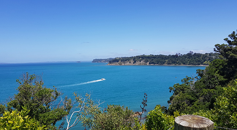 Mullet Point Loop Walk, Auckland, New Zealand - 7 Reviews, Map