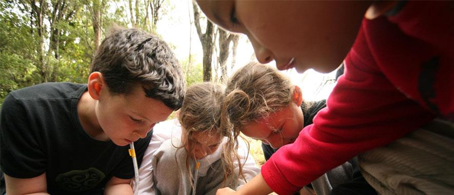 Young students crouching in the bush looking at something on the ground while holding pens.