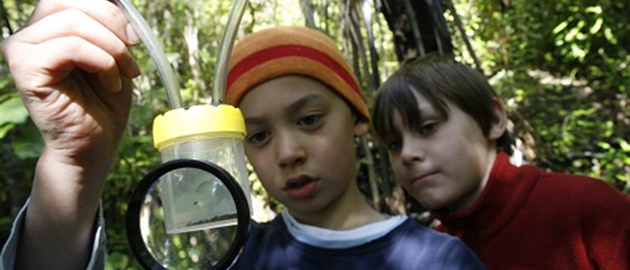 Two children in native bush inspecting an insect container with a magnifying glass.