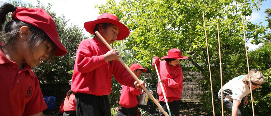 Children creating a garden.