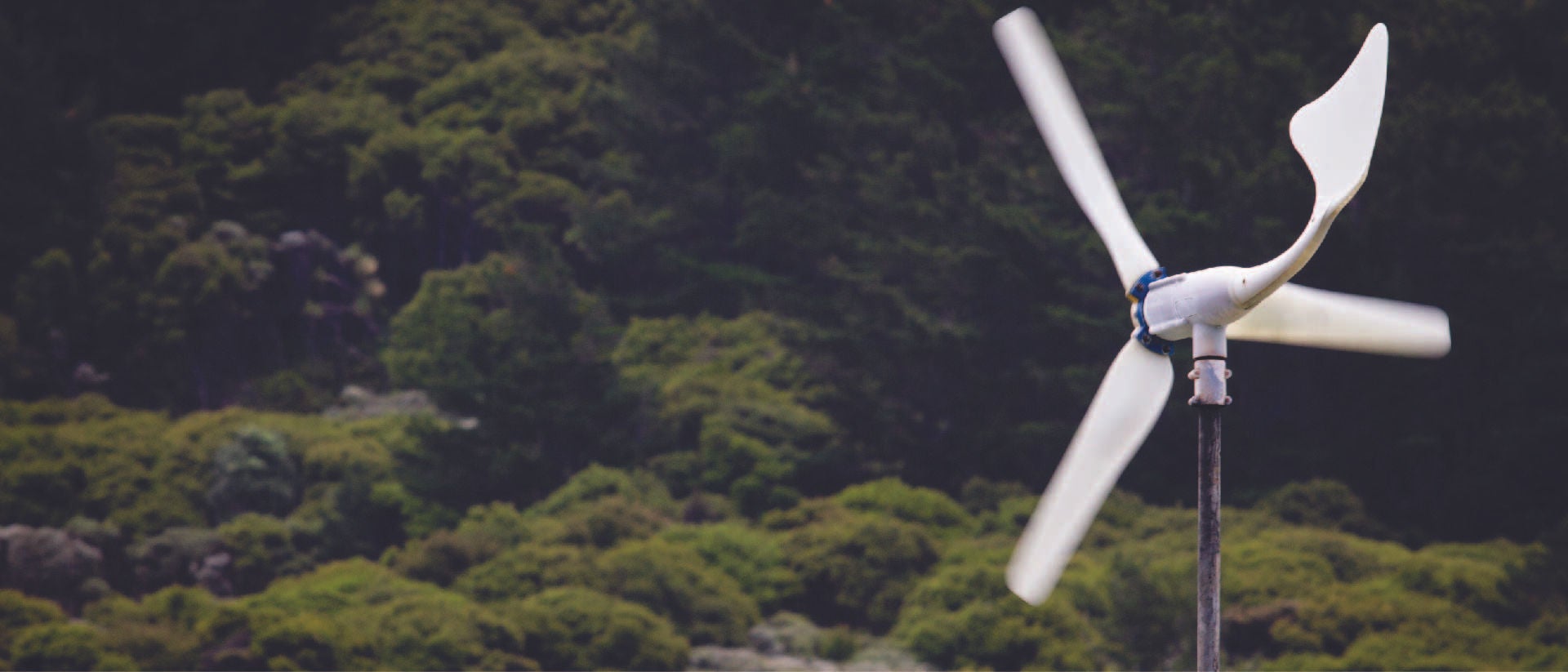 19-PRO-2344-ACAP_Graphics_FINAL