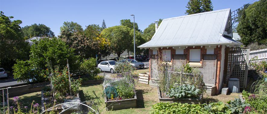 An image of a garden shed in a residential garden