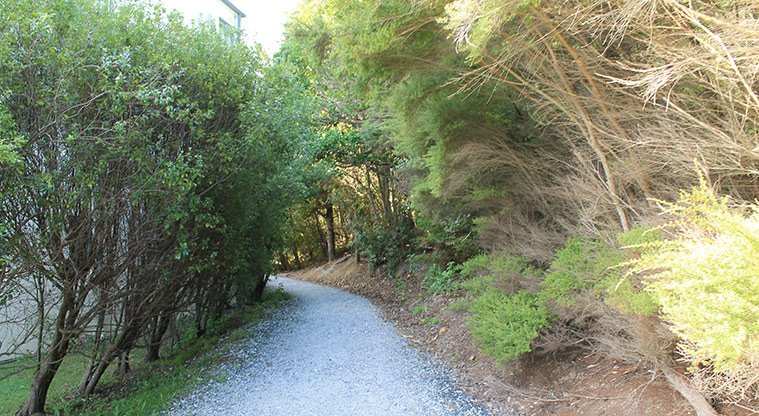 98 Pinecrest Drive - Section of the gravel path through the bush. Photo credit: M Loubser.