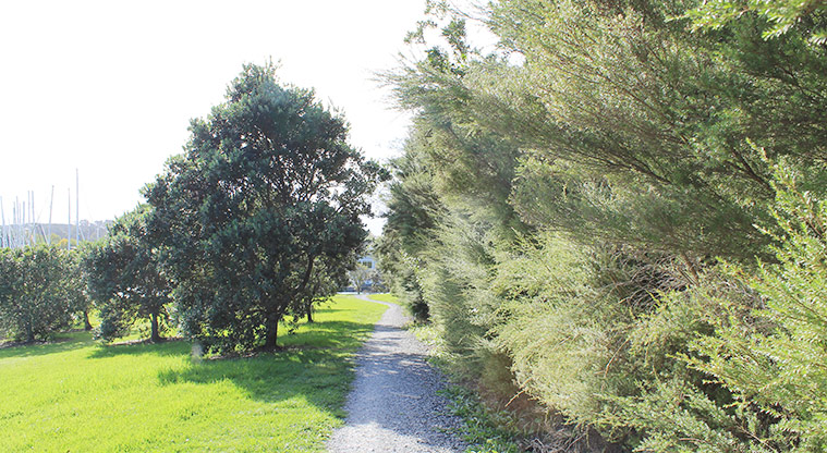 98 Pinecrest Drive - Section of the gravel path. Photo credit: M Loubser.
