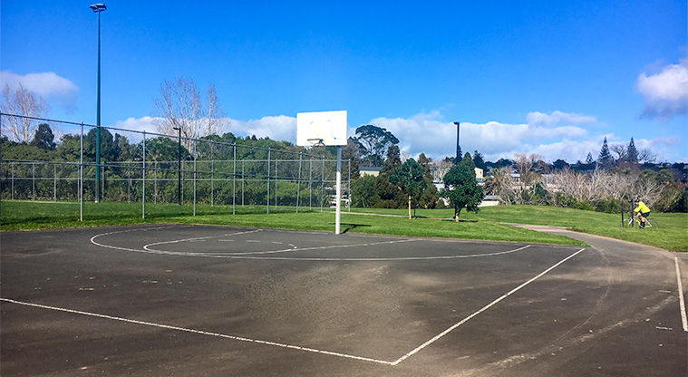 Alan Wood Reserve – Basketball court. Photo credit: S Hulse.
