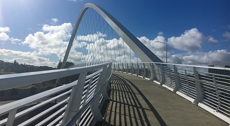 Alan Wood Reserve – Bridge crossing the motorway to Kūkūwai Park. Photo credit: S Hulse.