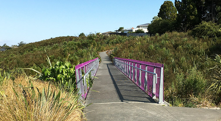 Alan Wood Reserve – Mokomoko Bridge leading up to the Methuen Road entrance. Photo credit: S Hulse.