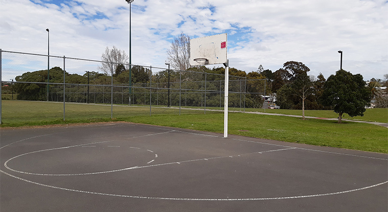 Alan Wood Reserve - Basketball court.