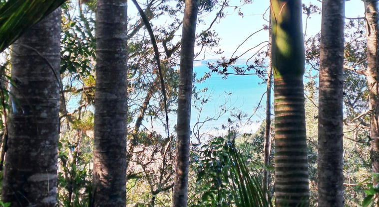 Alice Eaves Scenic Reserve - Sea view