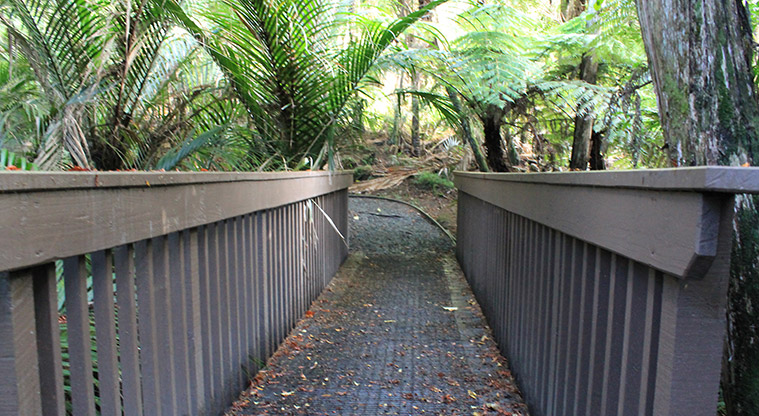Alice Eaves Scenic Reserve - Bridge connecting the path. Photo credit: M Loubser.