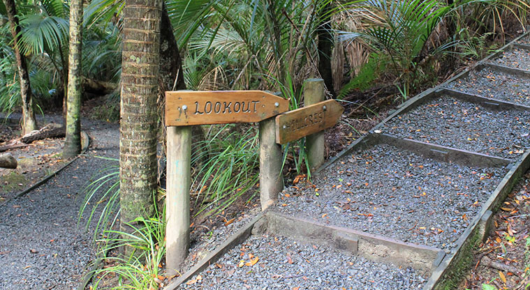 Alice Eaves Scenic Reserve - Sign to the Lookout Path. Photo credit: M Loubser.