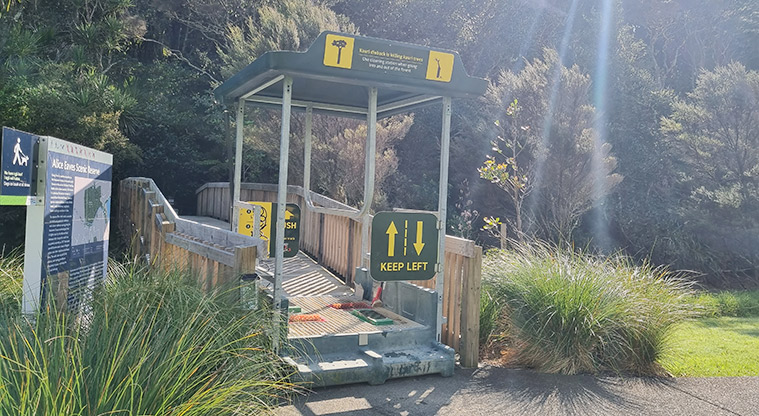 Alice Eaves Scenic Reserve - Kauri dieback cleaning station at the entrance to the reserve.