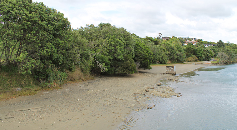 Amorino Park - Ōrewa River bank. Photo credit: M Loubser.