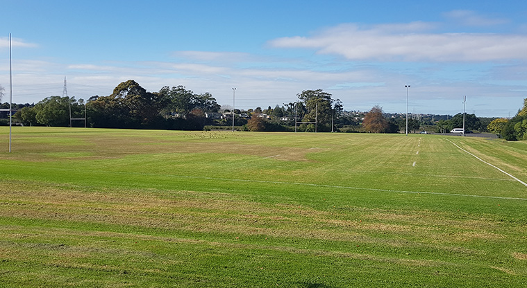 Archibald Park - A section of the sports fields.