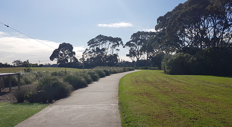 Archibald Park - A section of the Te Whau pathway alongside the flying fox.