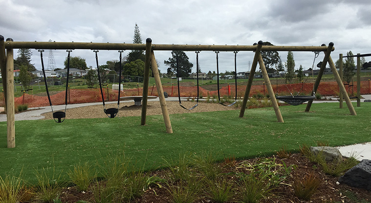 Archibald Park – Swings. Photo credit: T Hodder.