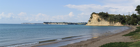 Arkles Bay Beachfront Reserve