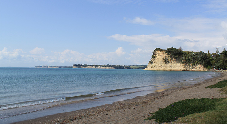 Arkles Bay Beachfront Reserve - Beach. Photo credit: M Loubser.