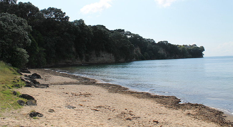 Arkles Bay Beachfront Reserve - Beach. Photo credit: M Loubser.