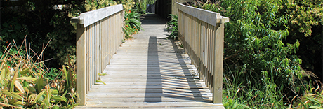 Arkles Strand Reserve