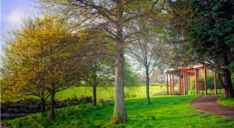 Auckland Botanic Gardens - spring time.