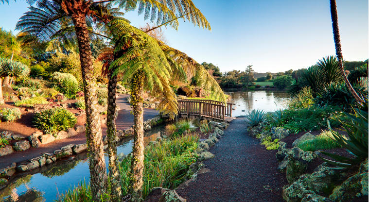 Auckland Botanic Gardens