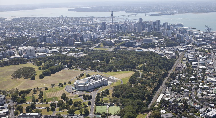 Pukekawa / Auckland Domain - Looking towards the Sky Tower and the Auckland Harbour Bridge.