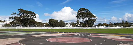 Avondale Central Reserve