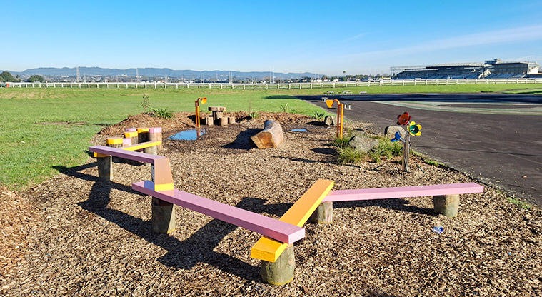 Avondale Central Reserve - Nature play area with balancing beams, stumps, logs and sound play. Photo credit: T Hodder.