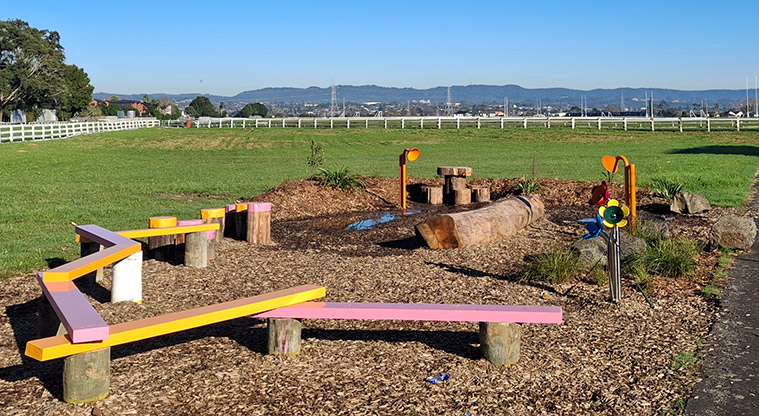 Avondale Central Reserve - Nature play area with balancing planks, stumps, logs and sound play. Photo credit: T Hodder.