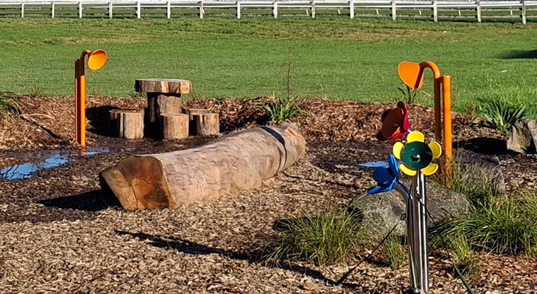 Avondale Central Reserve - Sound play equipment with a large log and a table and chairs made from logs. Photo credit: T Hodder.