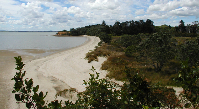 Awhitu Regional Park - view of Kauritūtahi Beach.