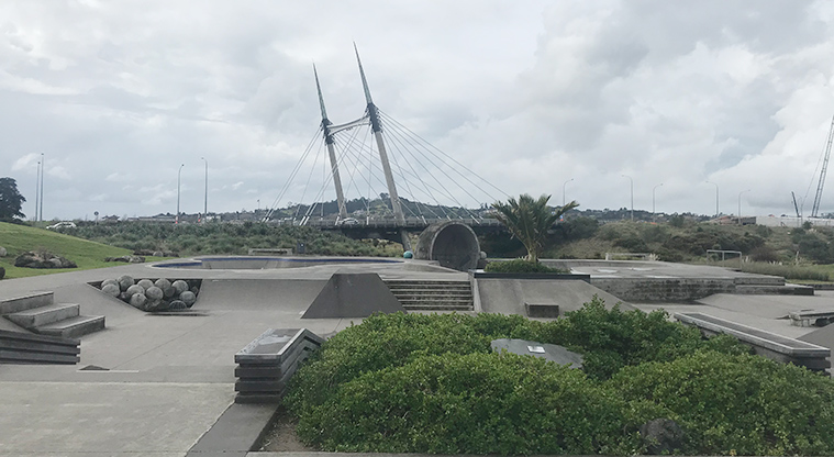 Barry Curtis Park - Skate park.