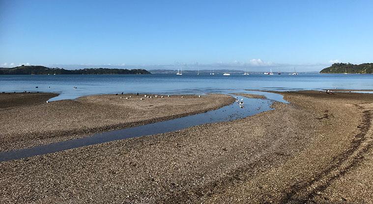 Blackpool Beach - View of the beach with boats in the background.