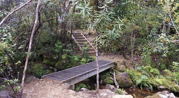Blind Bay Recreational Reserve - Bridge and steps at the stream crossing near the mine entrance.