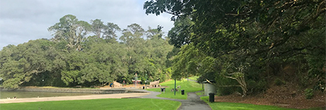 Blockhouse Bay Beach Reserve