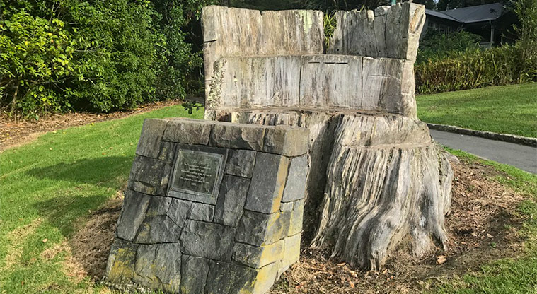 Āmio / Blockhouse Bay Beach Reserve – Pine tree stump with plaque that commemorates the first European settler on the beach, Mr Charles Paice, who planted the pine trees in 1889.