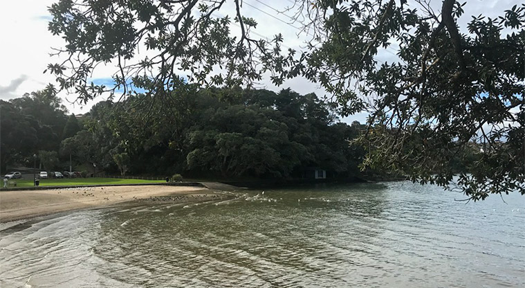 Āmio / Blockhouse Bay Beach Reserve – View from the path looking back towards the Endeavour Street entrance of the park.
