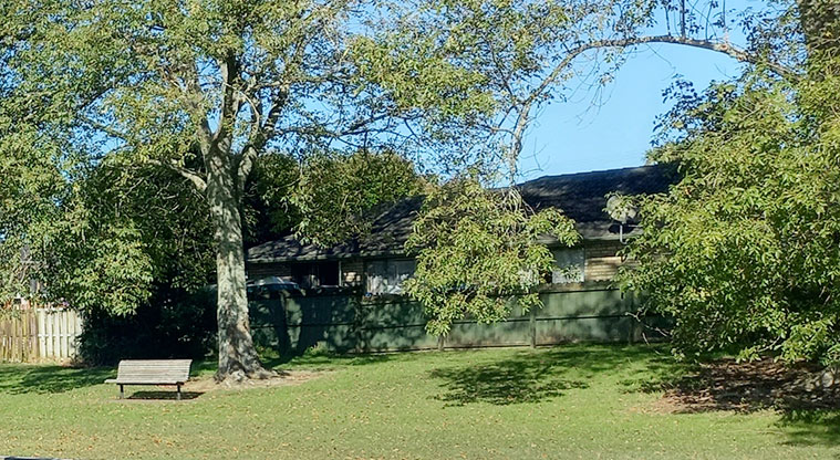 Onewherowhero / Brains Park - A seat under the trees by the playground.