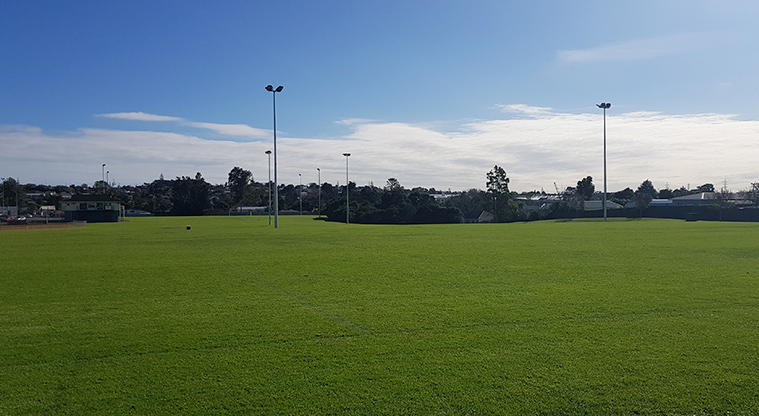 Onewherowhero / Brains Park - Sports fields.