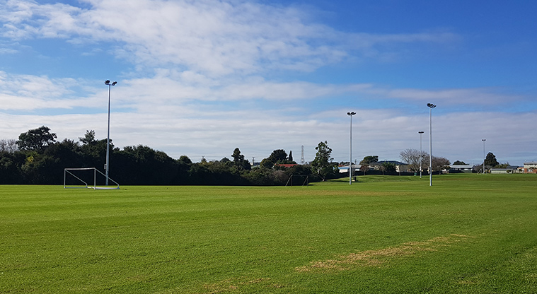 Onewherowhero / Brains Park - Sports fields.