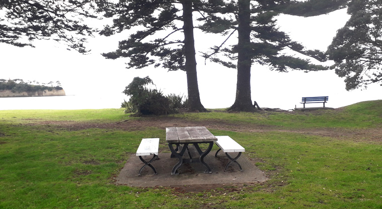 Browns Bay Beach Reserve - Picnic table and seating with trees and the beach in the background. Photo credit: T Hodder.