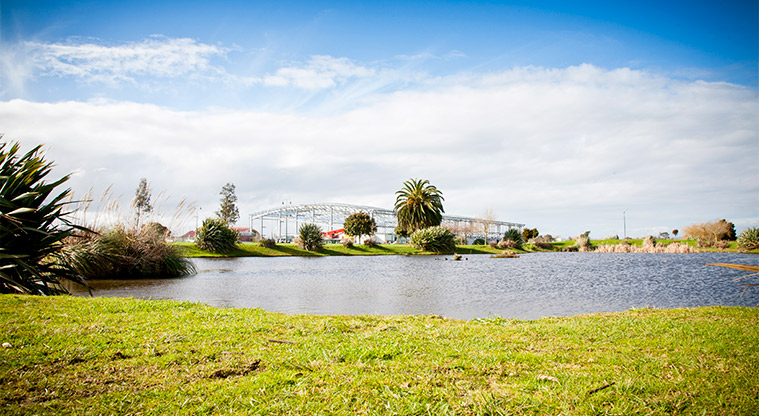 Bruce Pulman Park - View across the stormwater pond. Photo credit: Theo Leach.