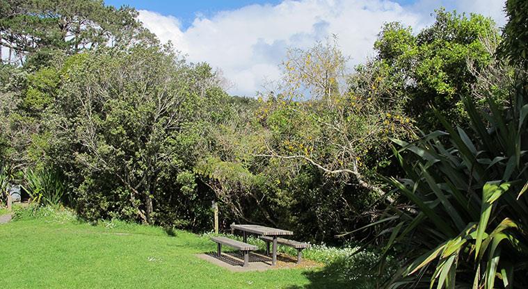 Centennial Park - A picnic table and seating in an open section of the park.
