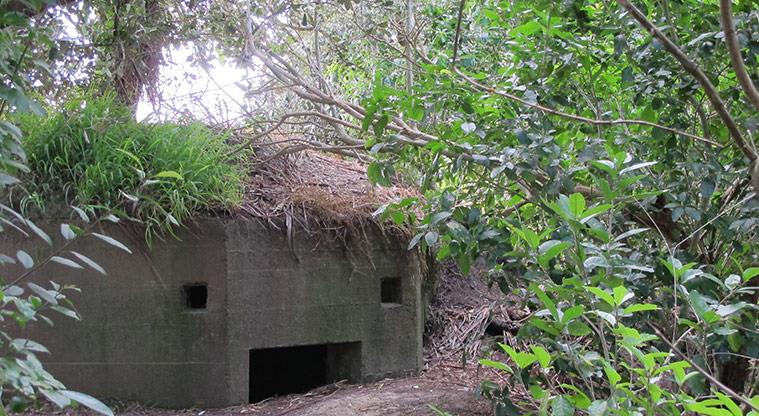 Centennial Park - World War II “Pill Box alongside a section of path through the bush.