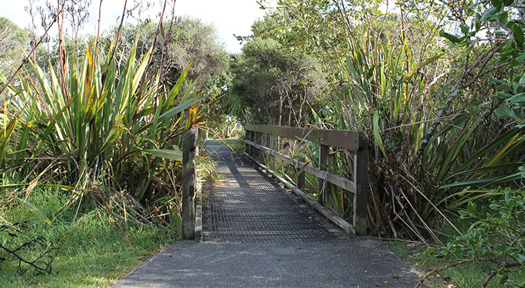 Centreway Reserve - One of the small bridges along the walkway. Photo credit: M Loubser.