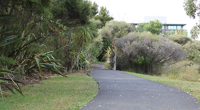 Centreway Reserve - Section of the walkway from Riverside Road. Photo credit: M Loubser.