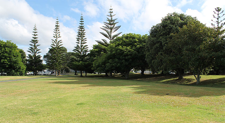 Centreway Reserve - Open green space surrounded by well-established trees. Photo credit: M Loubser.