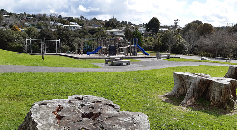 Ō-kauri-rahi / Ceramco Park - Large tree stumps with the playground in the background.