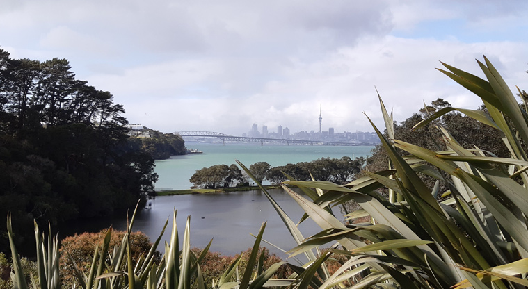 Chelsea Estate Heritage Park - View from the park across to the harbour bridge and Auckland city.